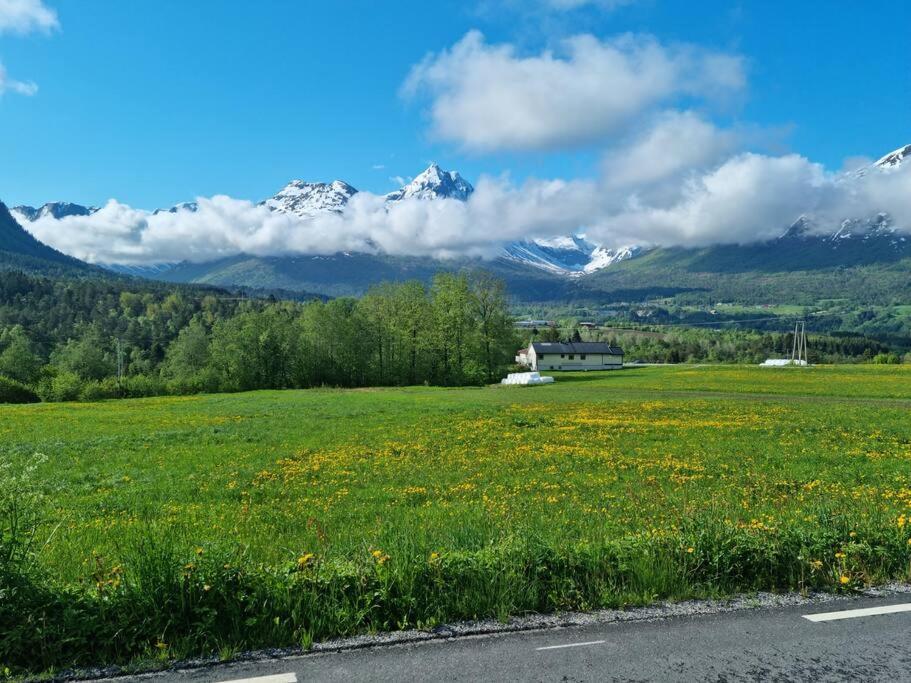 Kavli - Isfjorden. Isfjorden
