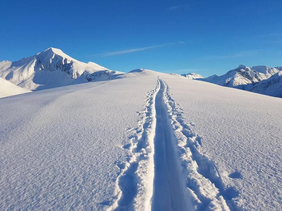 Kavli - Isfjorden. Isfjorden