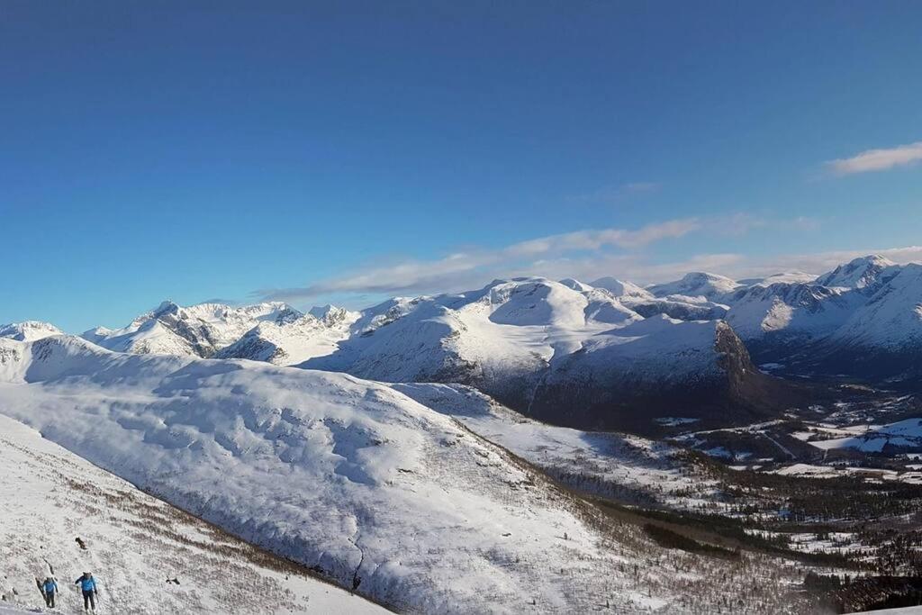 Kavli - Isfjorden. *